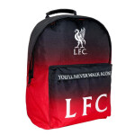 LIVERPOOL BACKPACK 2CASES 30x15x40