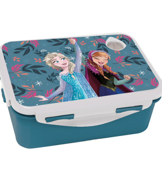 FROZEN LUNCH BOX MICROWAVE